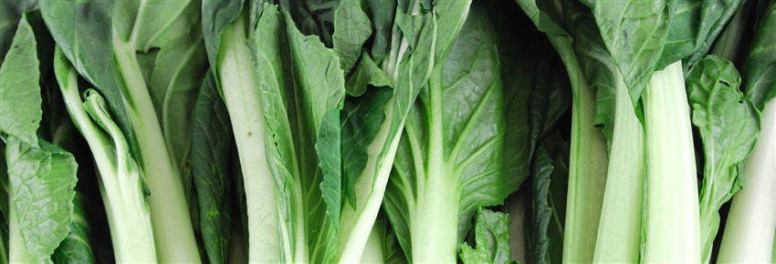 Chinese Vegetables At Dim Sum